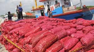 Polda Riau Gagalkan Penyelundupan 16,4 Ton Bawang Merah Ilegal